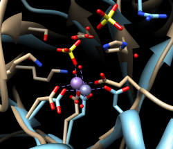 computer generated image