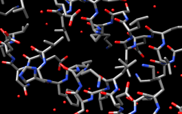 computer generated image