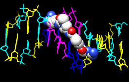 computer generated image