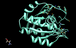 computer generated image