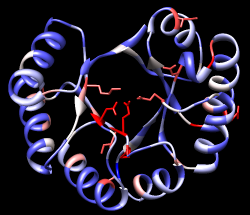 computer generated image