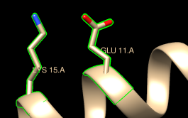 computer generated image