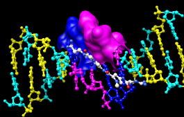 computer generated image