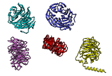 computer generated image