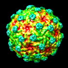 computer generated image