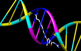 computer generated image