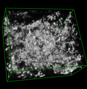 computer generated image