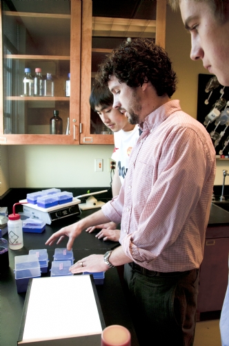 computer generated image