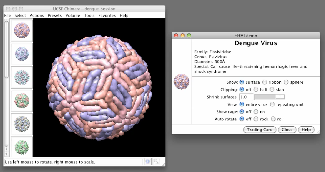 computer generated image