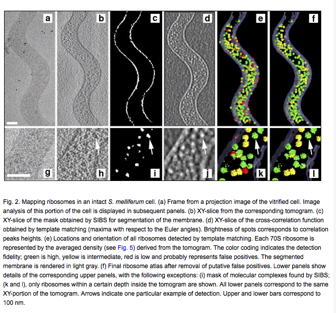 computer generated image