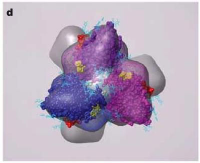 computer generated image