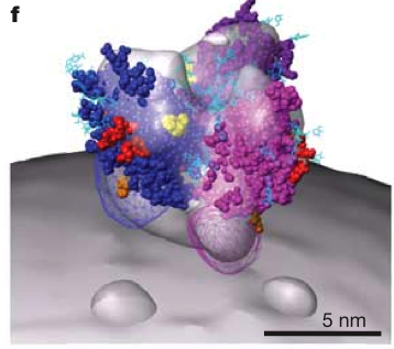 computer generated image