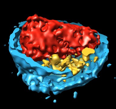 computer generated image