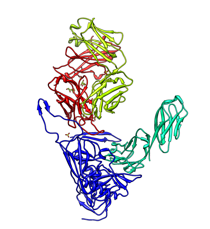 computer generated image