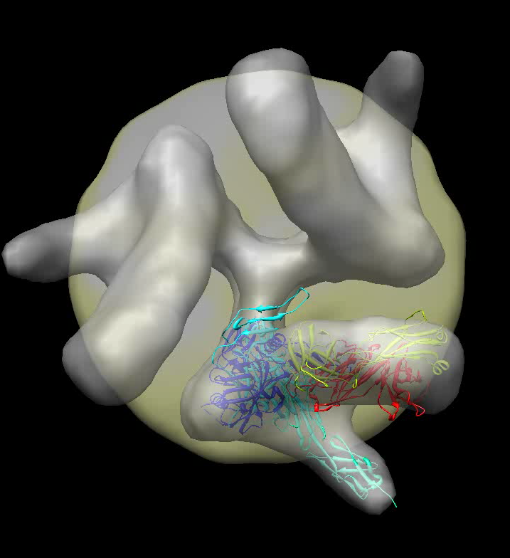 computer generated image