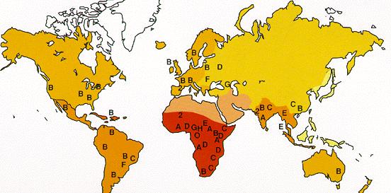 computer generated image