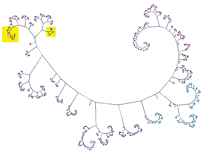 computer generated image