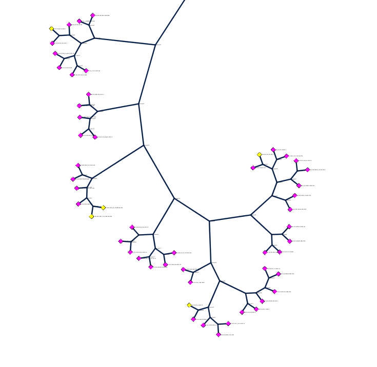 computer generated image