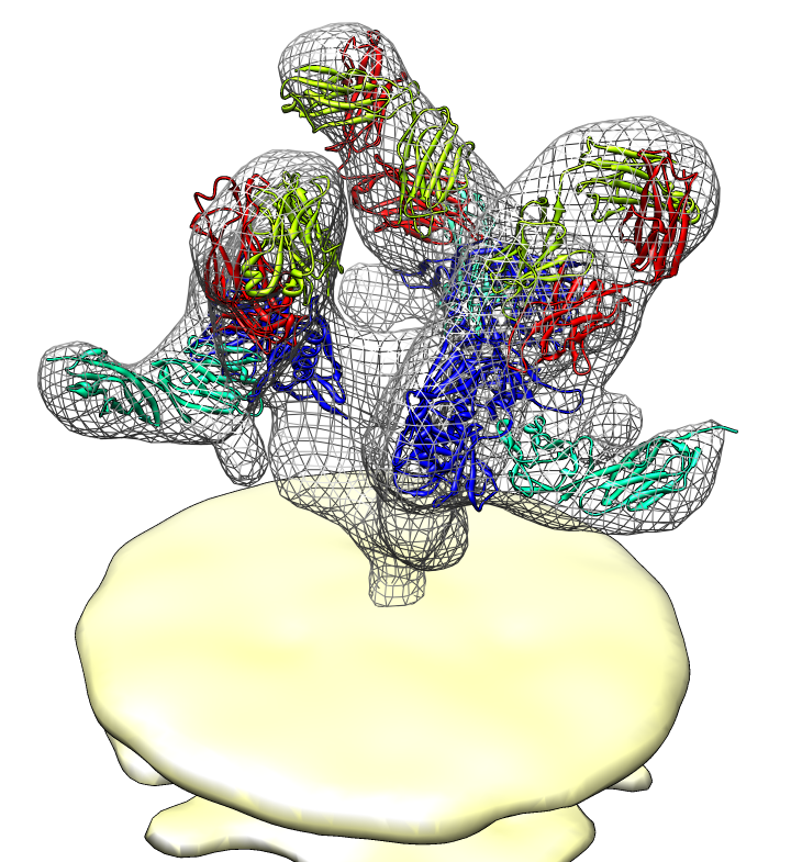 computer generated image