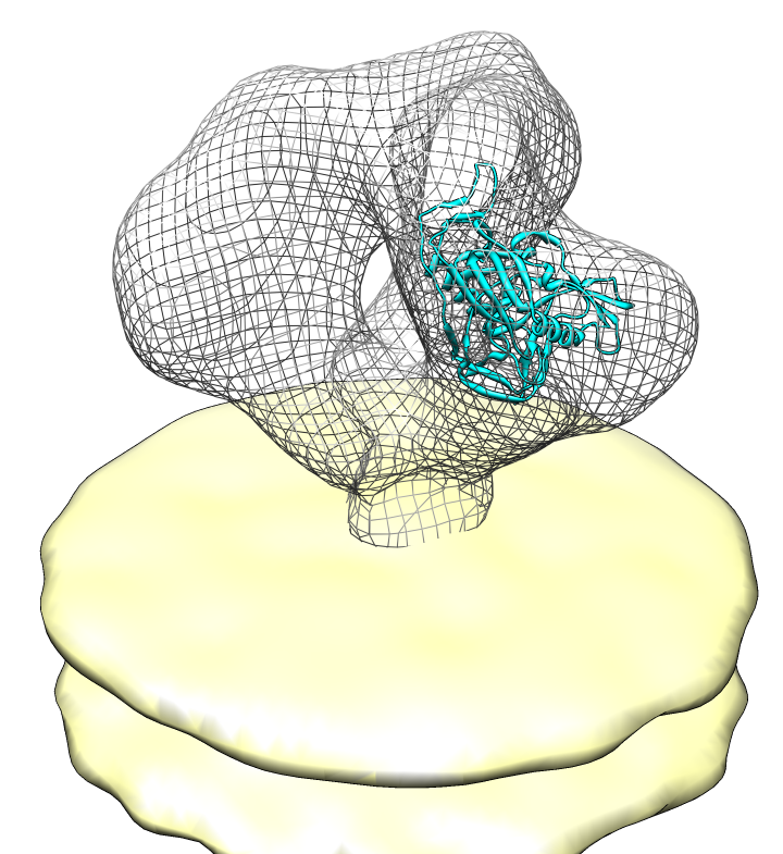 computer generated image