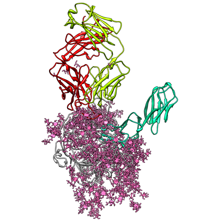 computer generated image