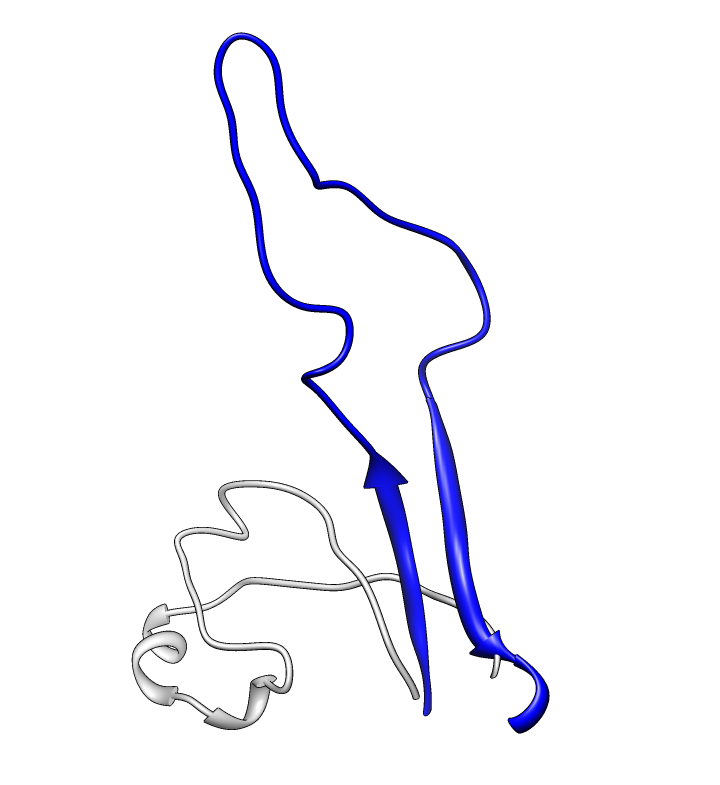 computer generated image