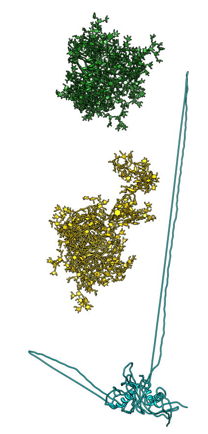 computer generated image