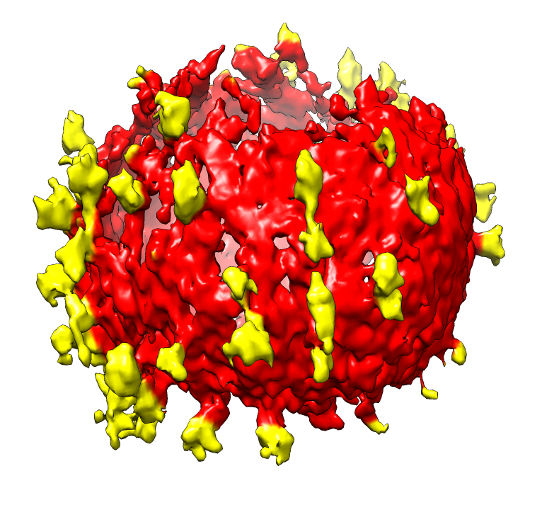 computer generated image