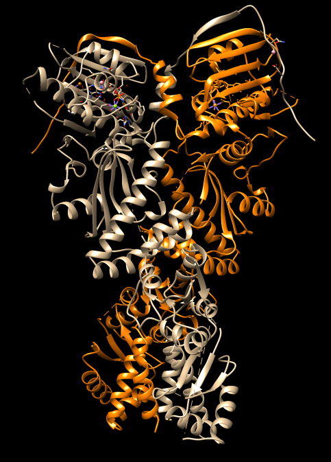 computer generated image