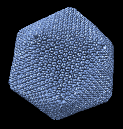 computer generated image