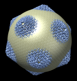 computer generated image