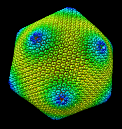 computer generated image