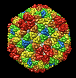 computer generated image