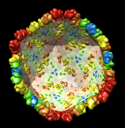 computer generated image