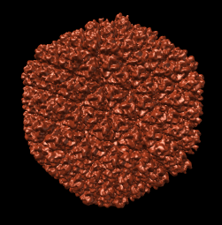 computer generated image