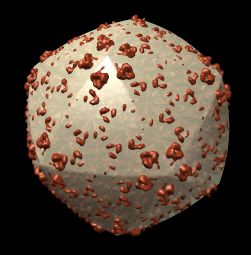 computer generated image