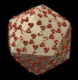 computer generated image