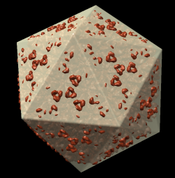 computer generated image