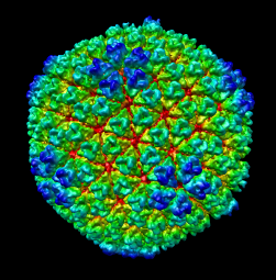 computer generated image