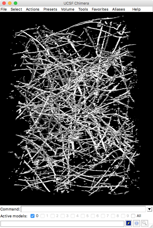 computer generated image