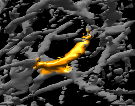 computer generated image