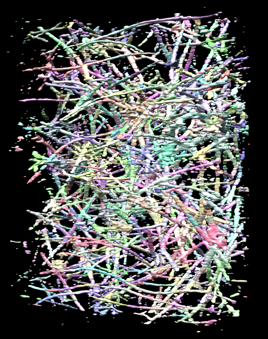 computer generated image