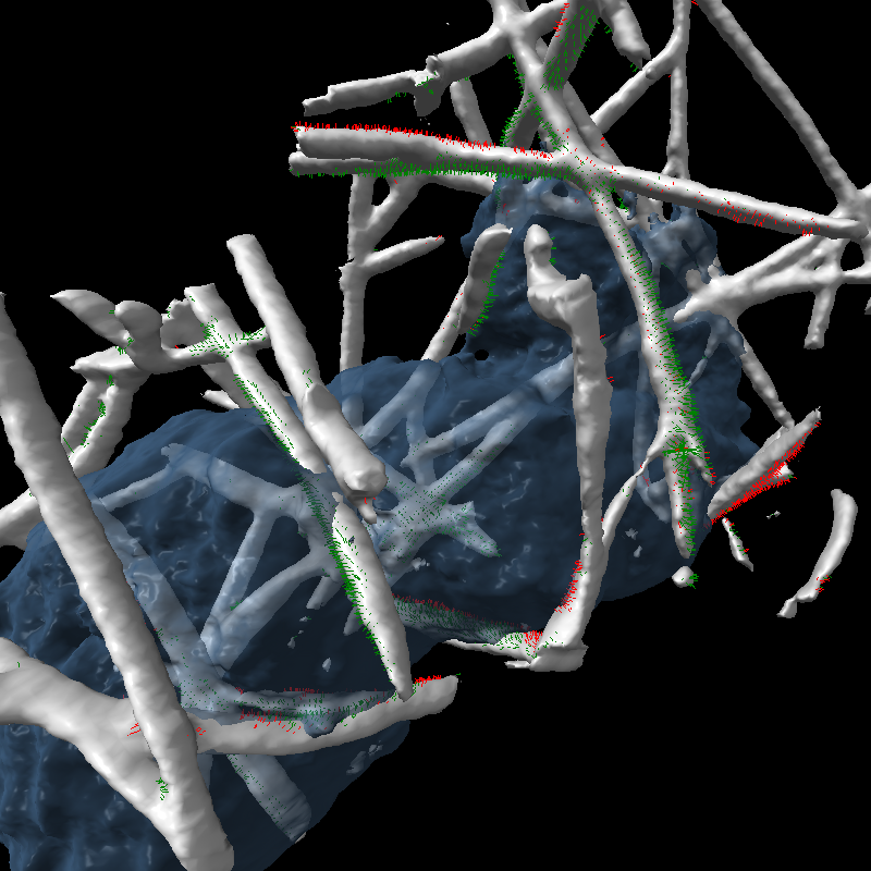 computer generated image