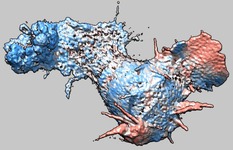 computer generated image