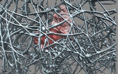 computer generated image