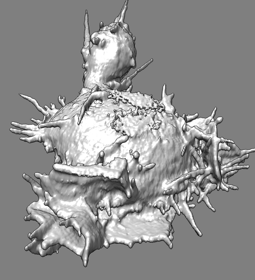 computer generated image