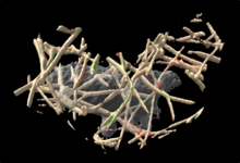 computer generated image