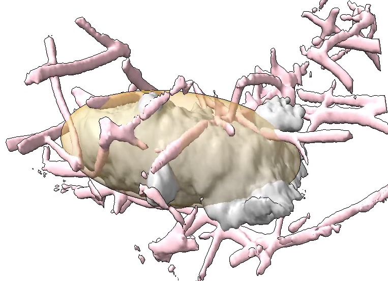 computer generated image