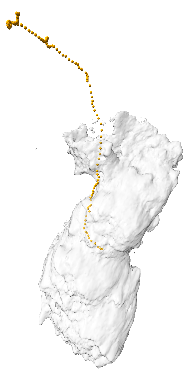 computer generated image