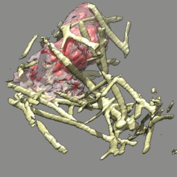 computer generated image